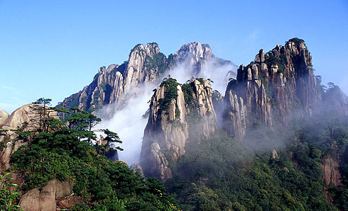 大山清报电子版