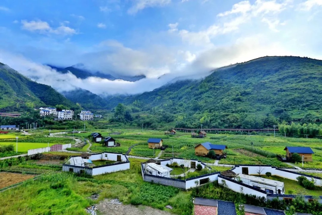 三清山稻田里的柴门村