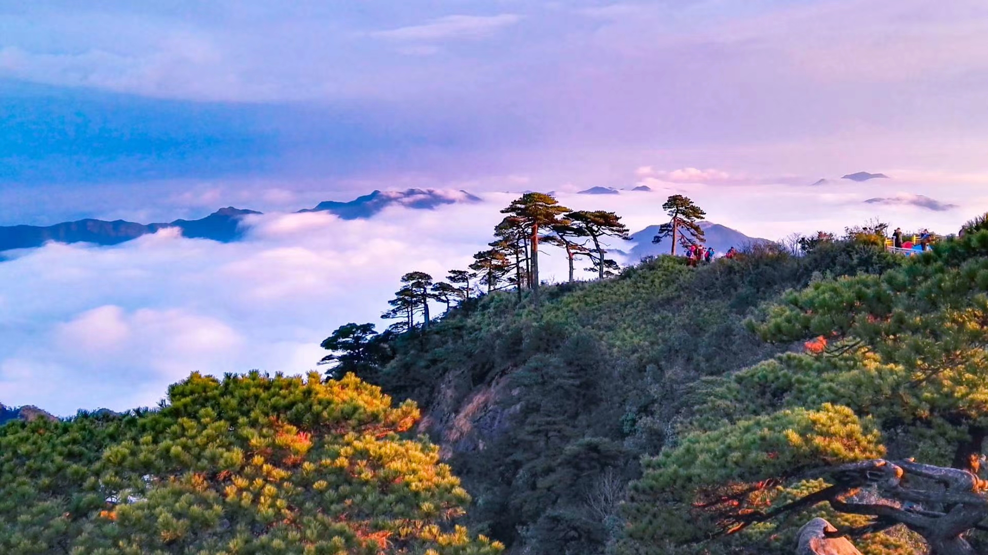 不得不看三清山旅游攻略