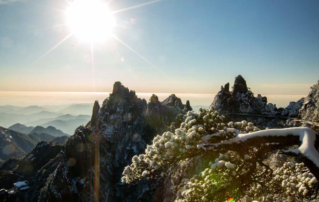 冬雪