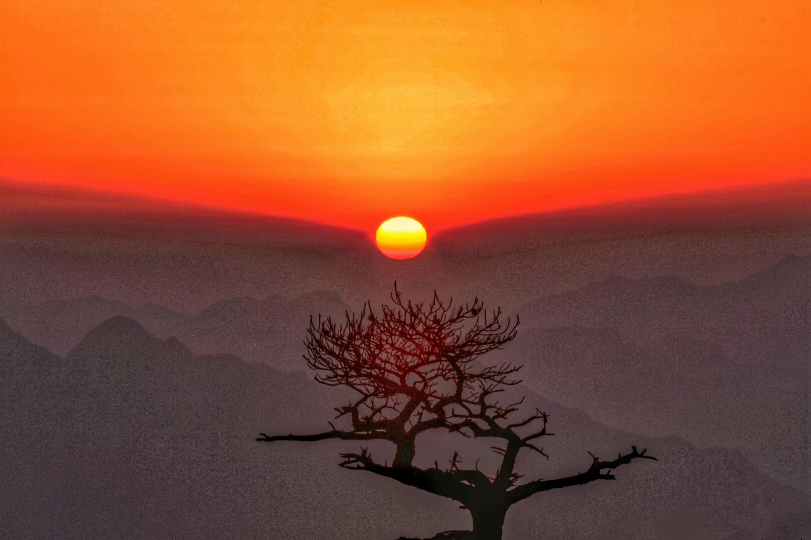 三清山年夜饭持续预订中！家的味道，温暖过年！