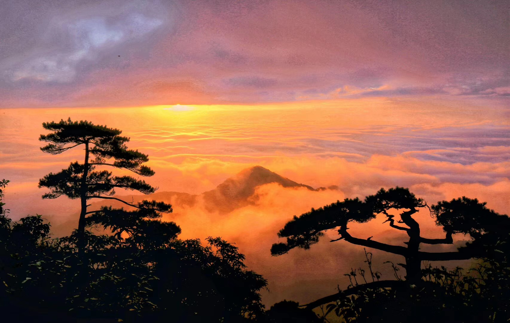 五一假期还在继续！5月5日三清山雨后云海给你惊艳！