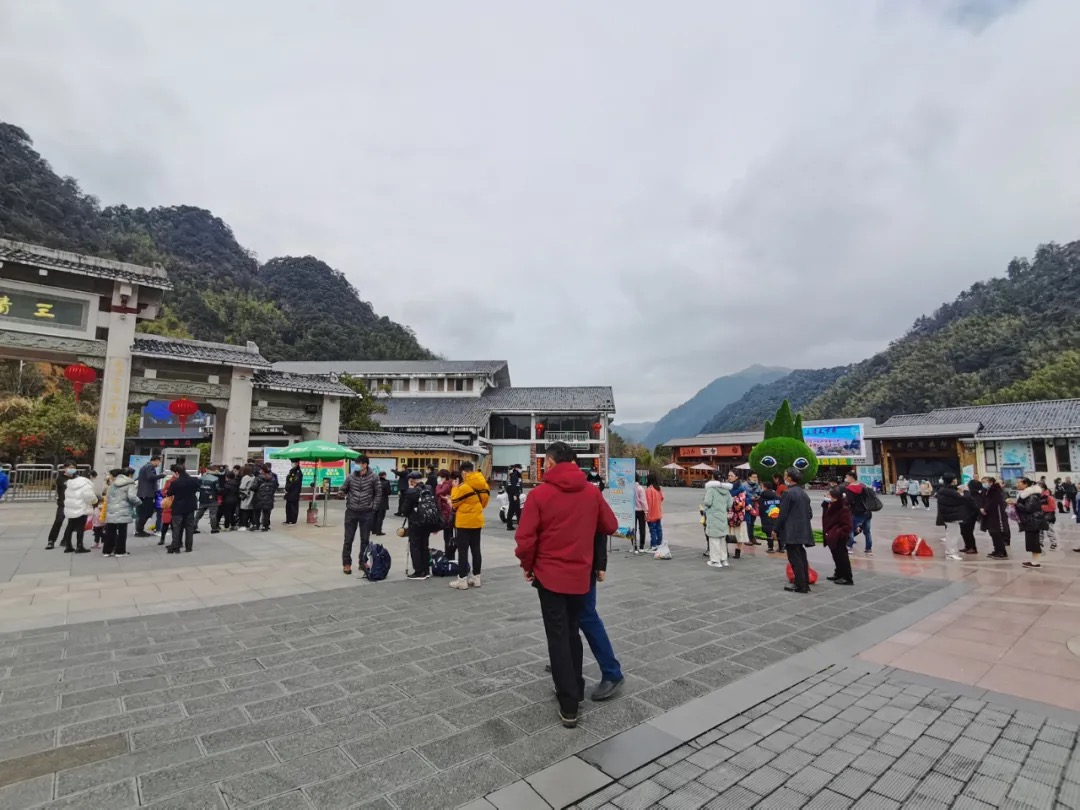 大年初一开门红！ 三清山景区新年牛气冲天！