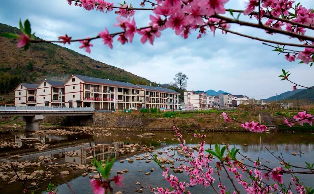 快来赏花！神仙谷的花海已成春日亮点！