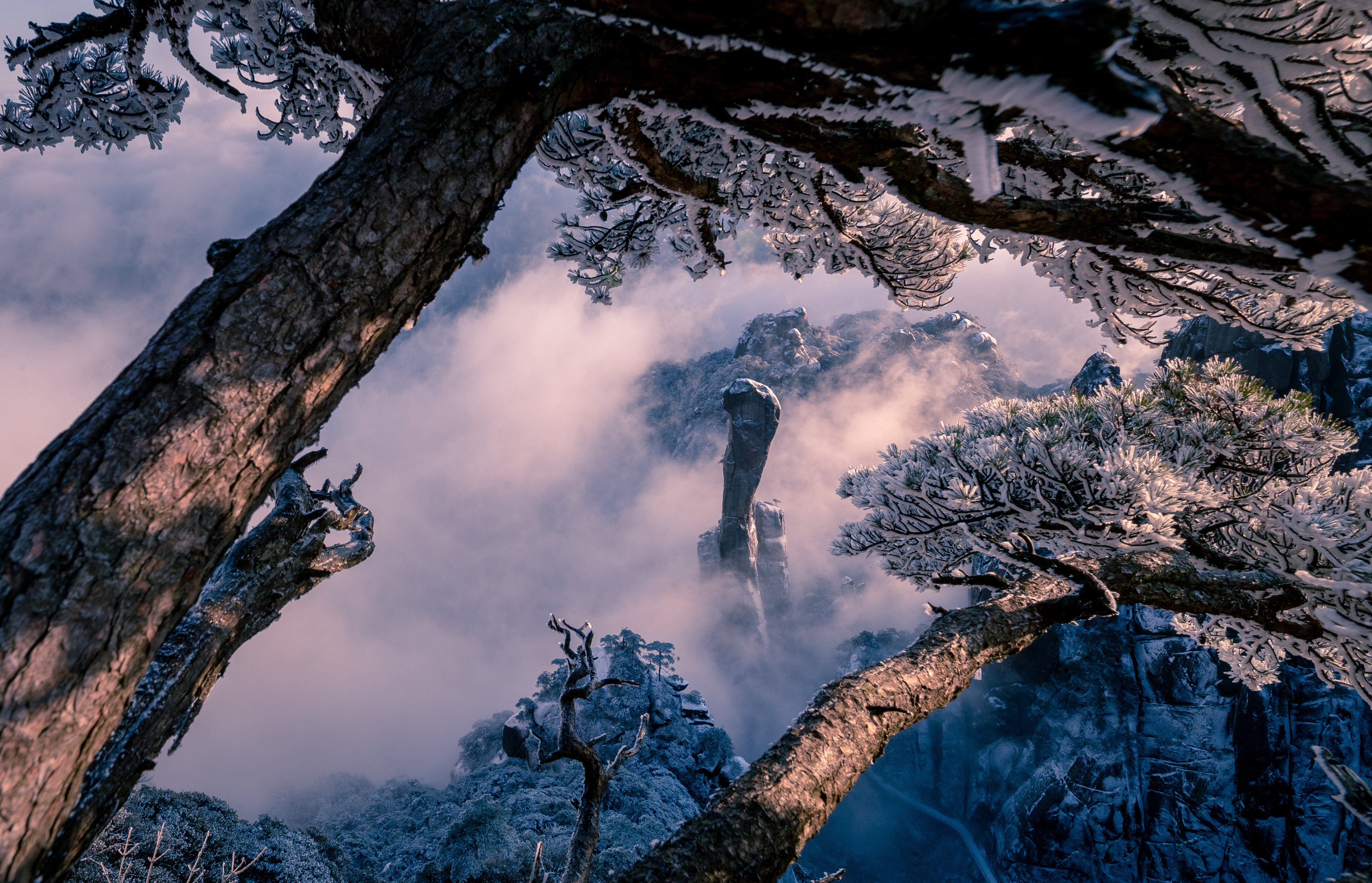 巨蟒出山
