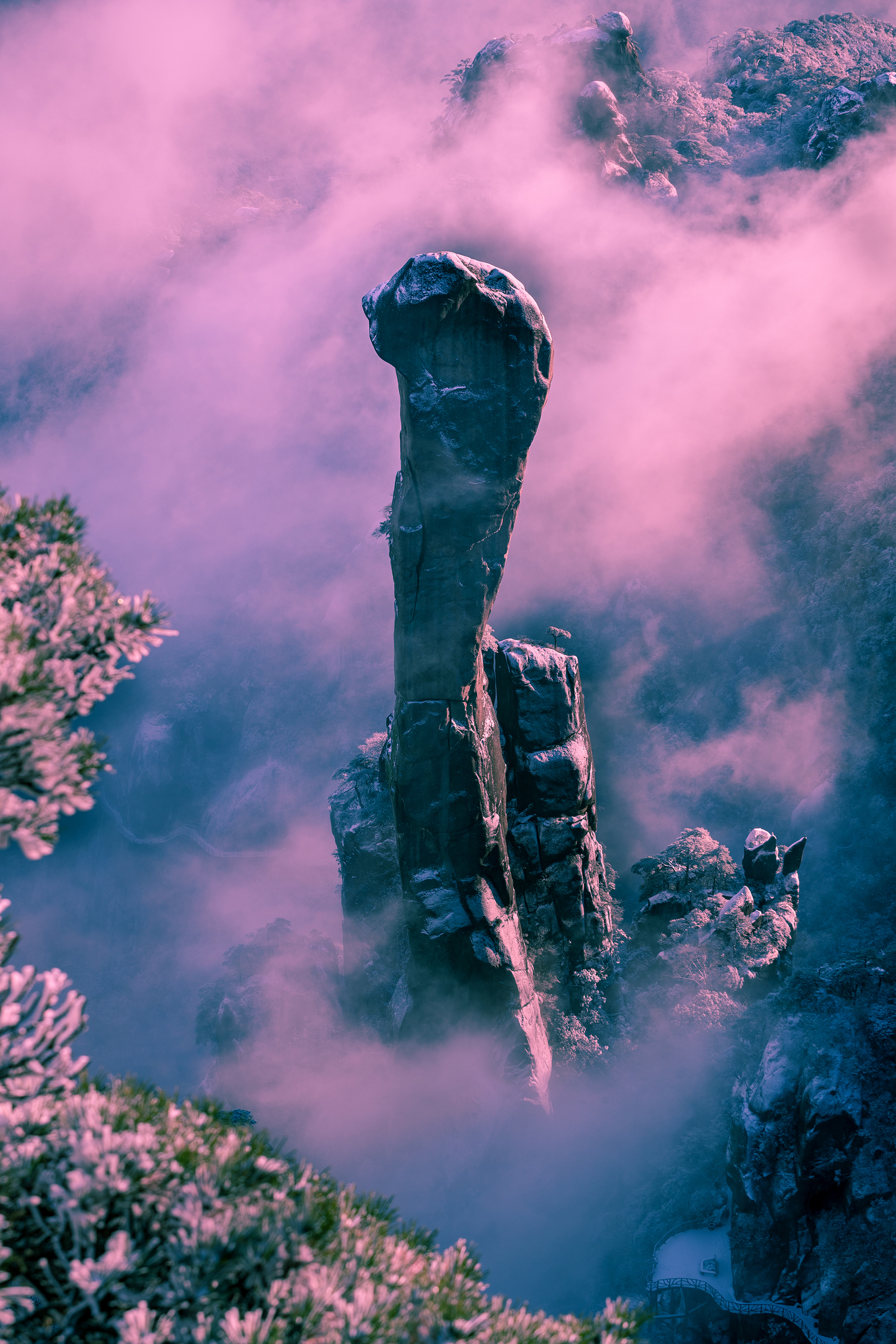 巨蟒出山