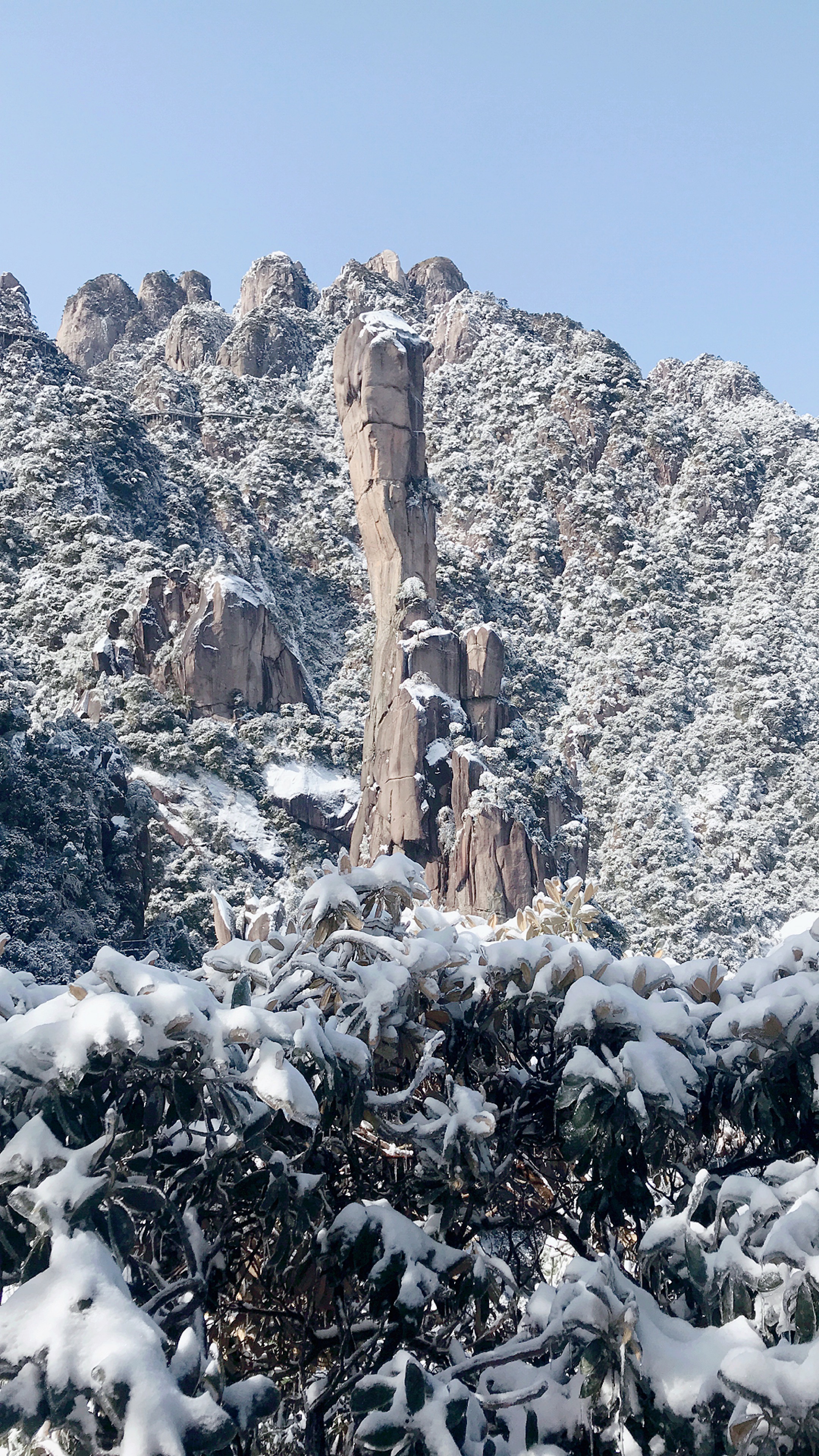 巨蟒雪景