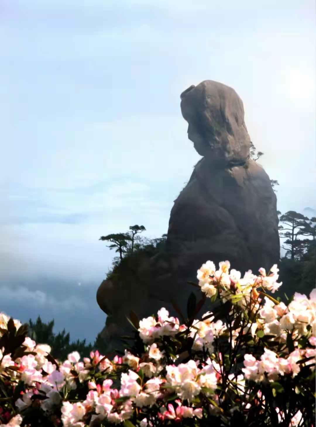 女神节福利|我与三清山的春天有个约会