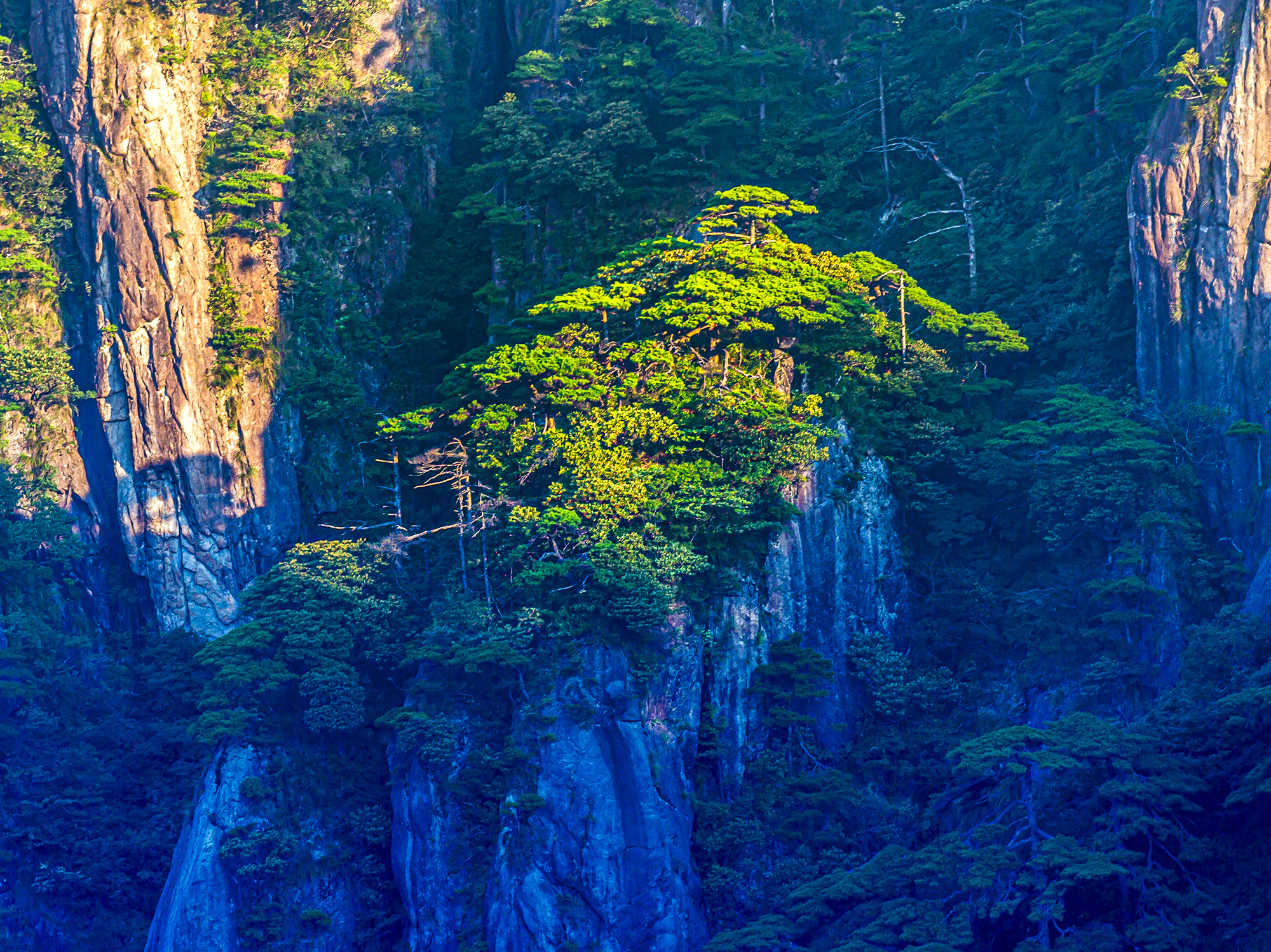 绿意三清山