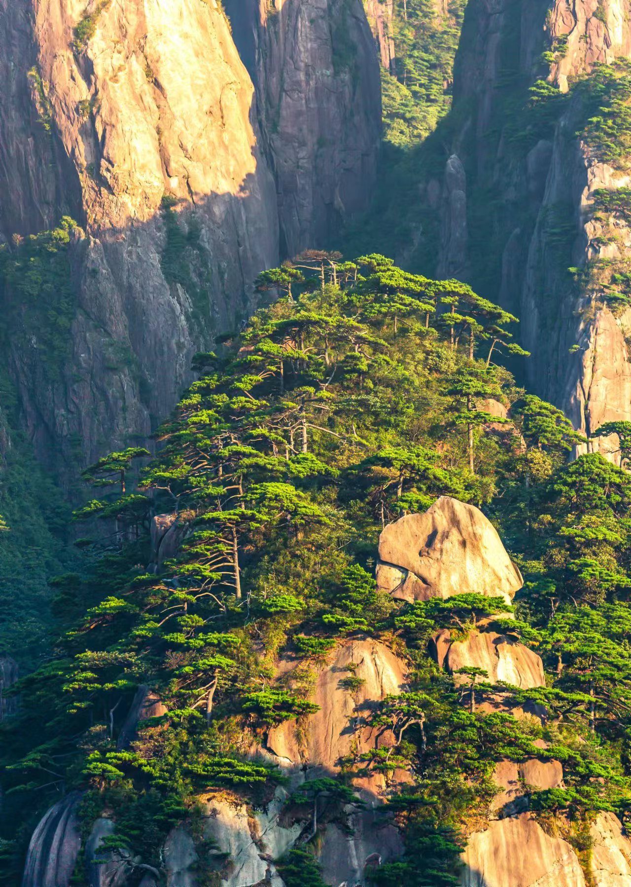 绿意三清山