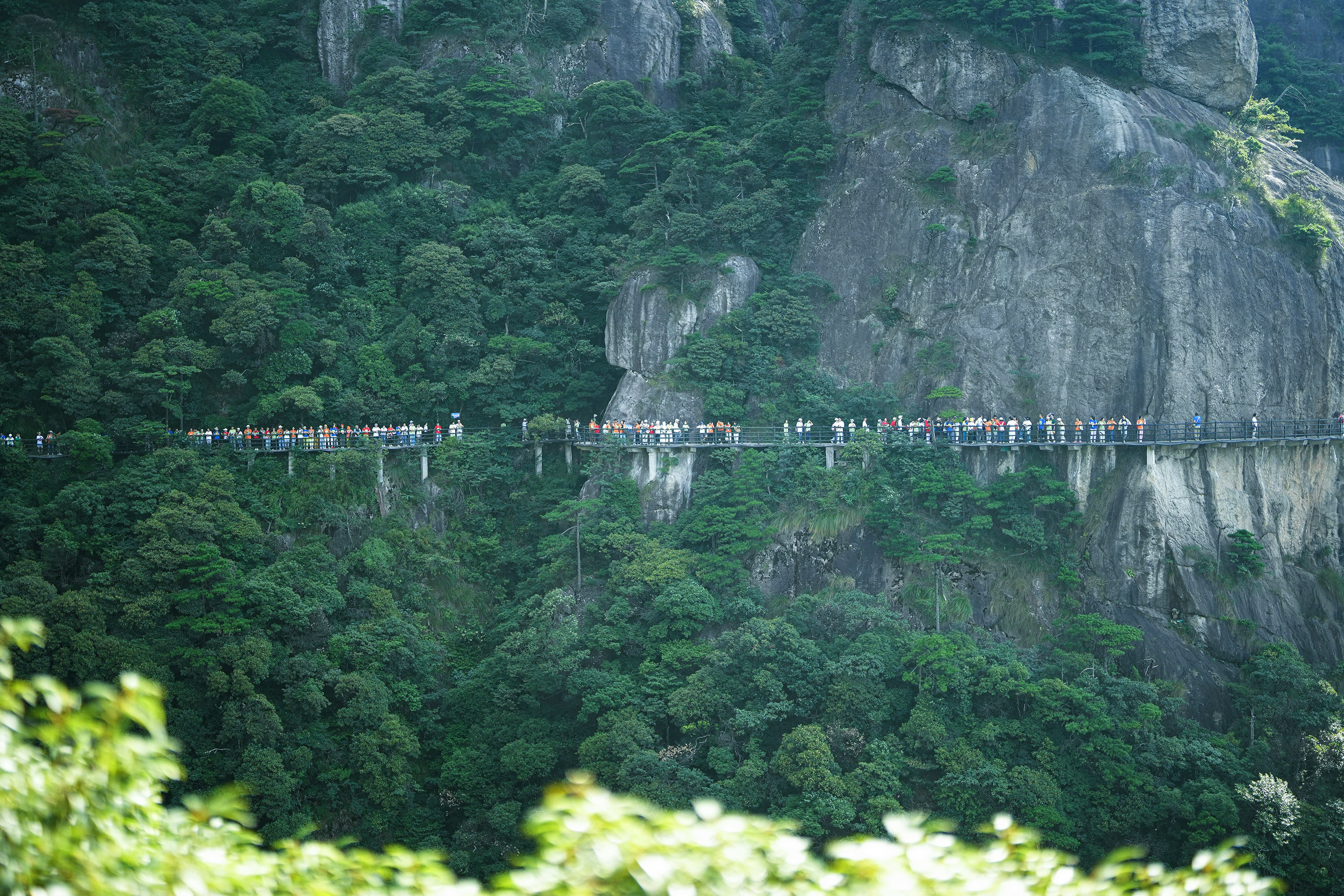 夏日三清山