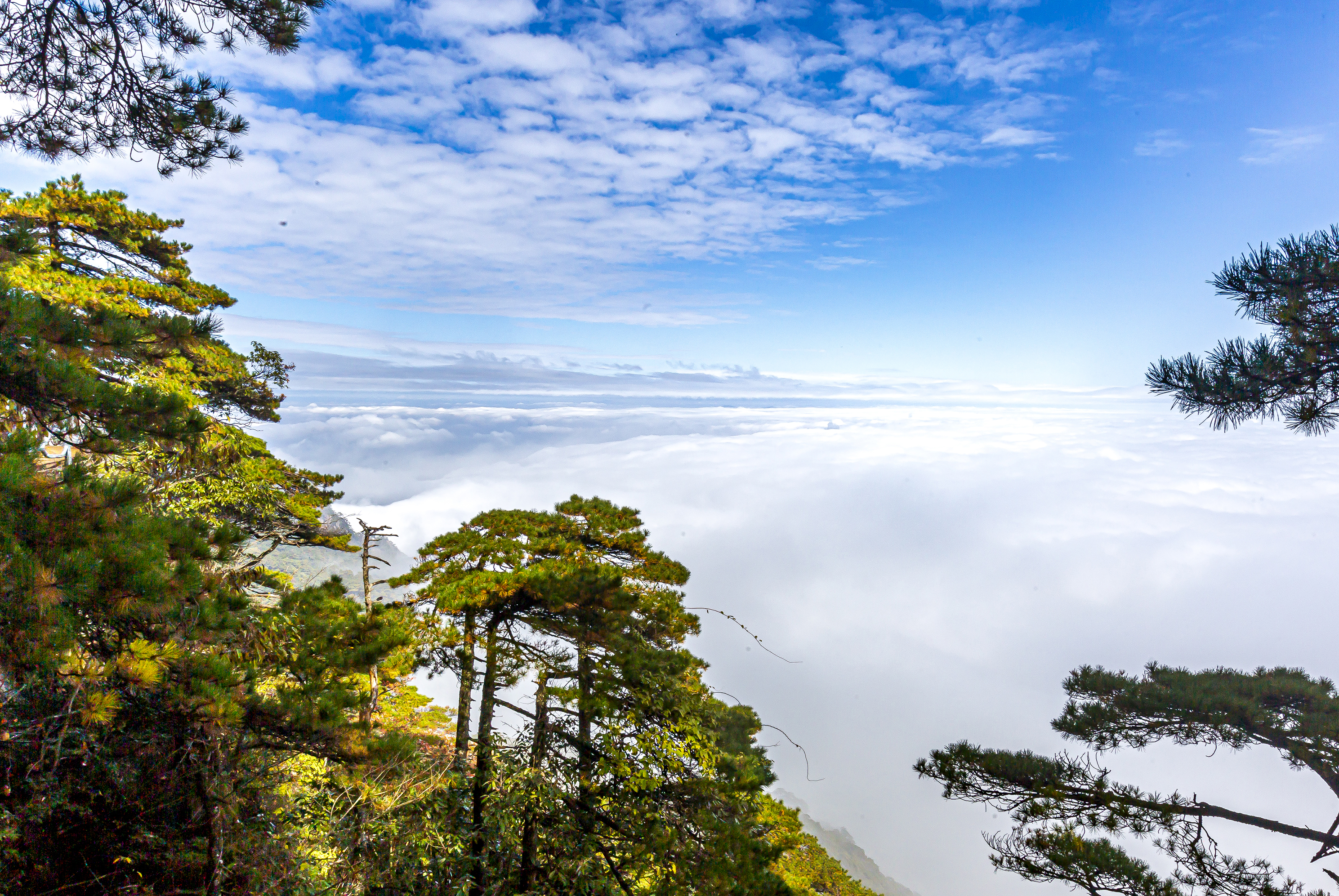 三清山秋色