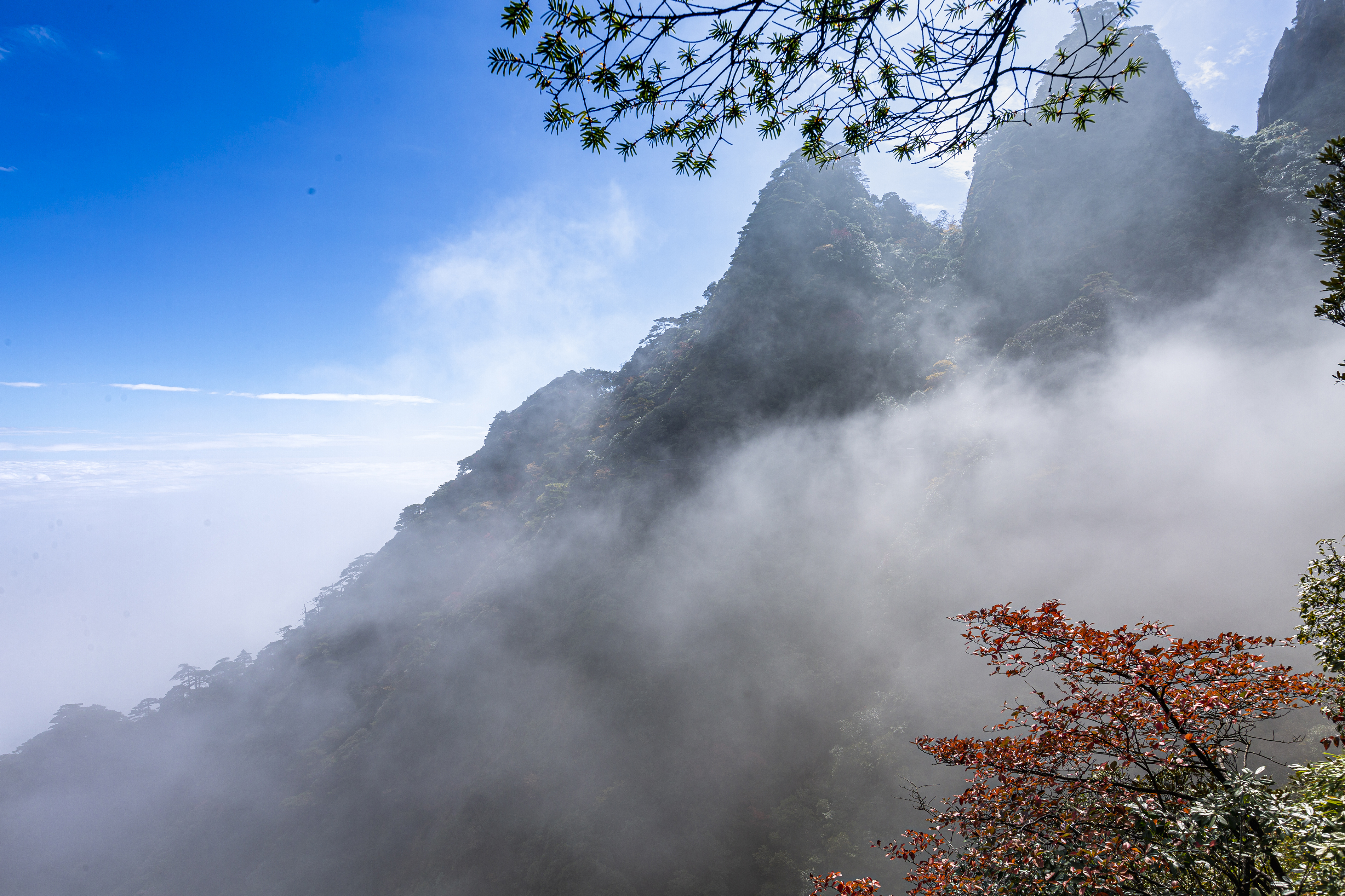 三清山秋色