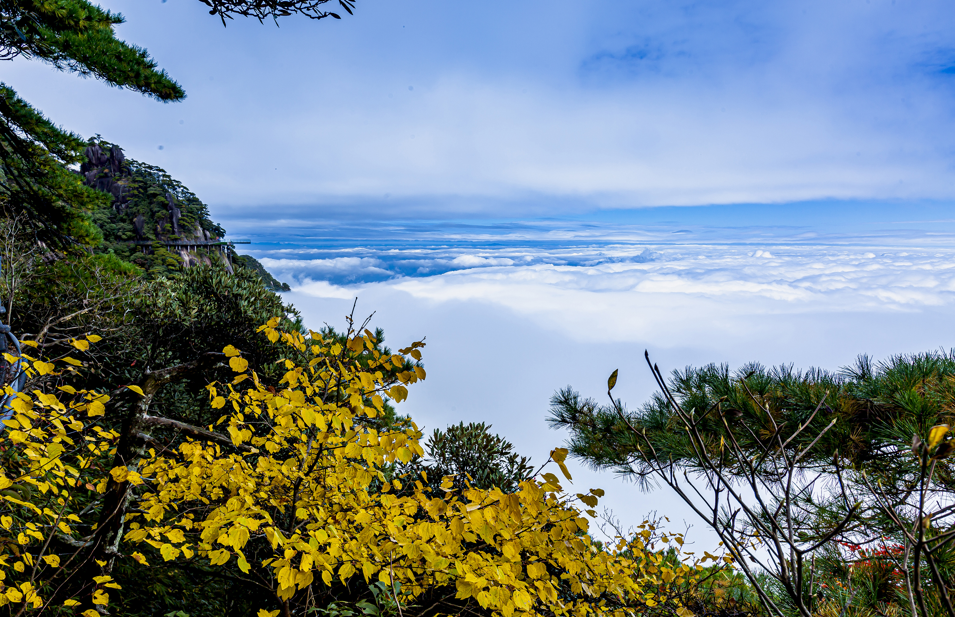 三清山秋色