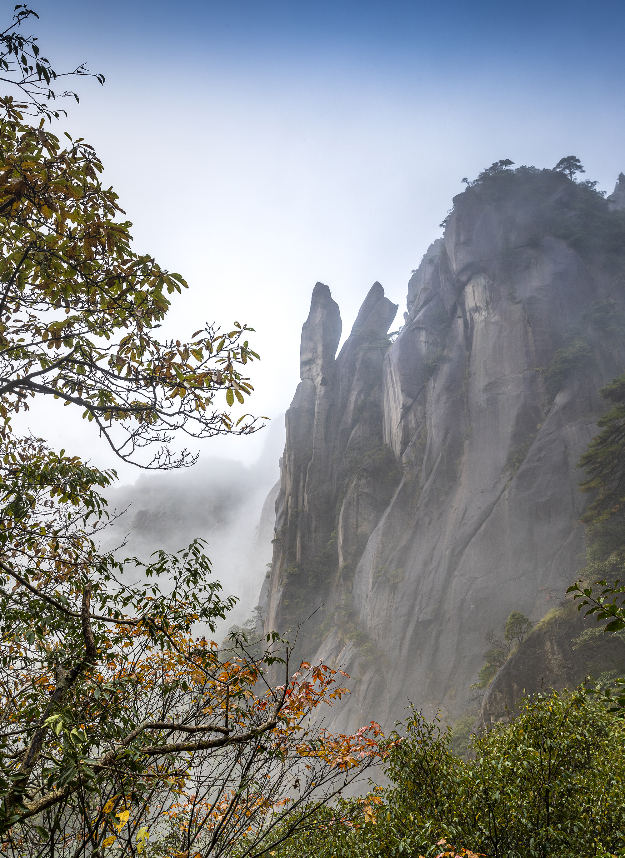 三清山秋色