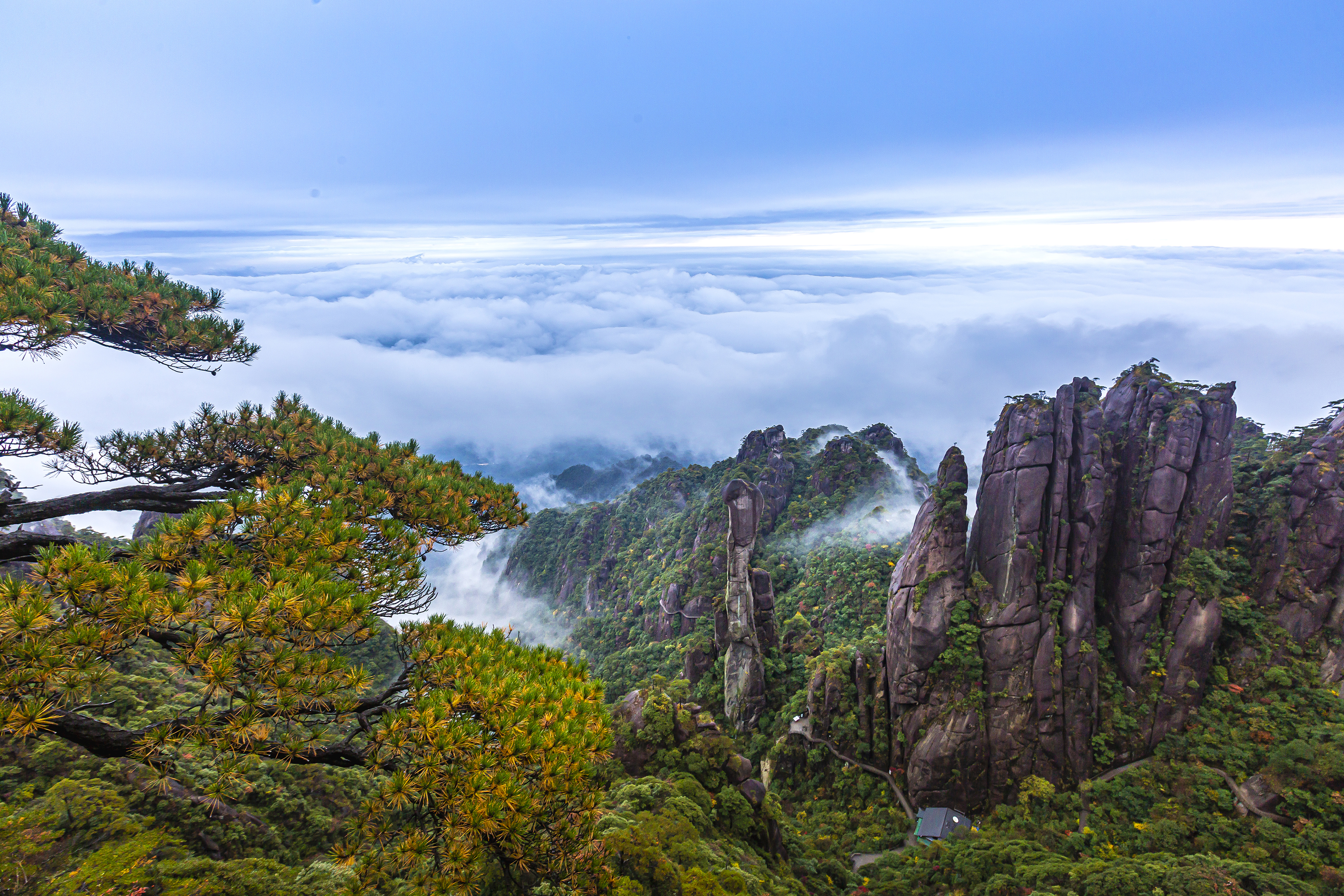 三清山秋色