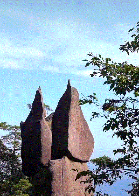4.gif